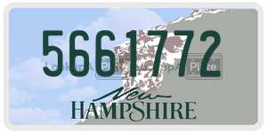 5661772  license plate in NH