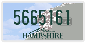 5665161  license plate in NH
