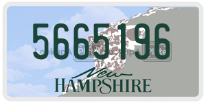 5665196  license plate in NH