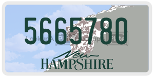 5665780  license plate in NH
