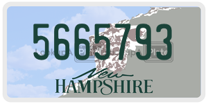 5665793  license plate in NH
