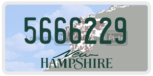 5666229  license plate in NH