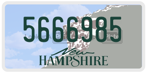5666985  license plate in NH