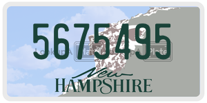 5675495  license plate in NH