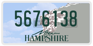 5676138  license plate in NH