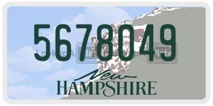 5678049  license plate in NH