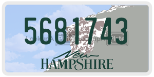 5681743  license plate in NH