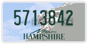 5713842  license plate in NH