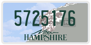 5725176  license plate in NH