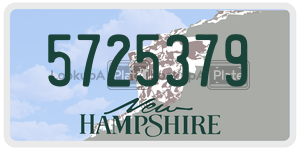 5725379  license plate in NH