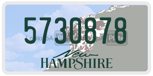 5730878  license plate in NH