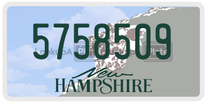 5758509  license plate in NH