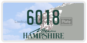 6018  license plate in NH