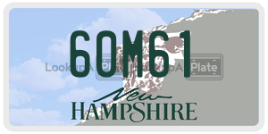60M61  license plate in NH