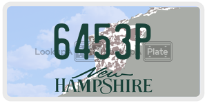 6453P  license plate in NH