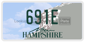 691E  license plate in NH
