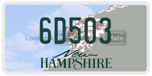 6D503  license plate in NH