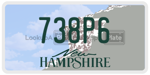 738P6  license plate in NH