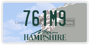 761M9  license plate in NH