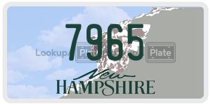 7965  license plate in NH