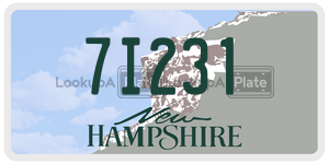 7I231  license plate in NH