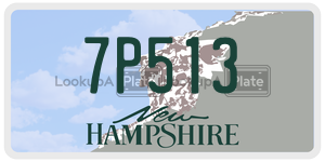 7P513  license plate in NH