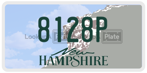 8128P  license plate in NH
