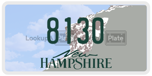 8130  license plate in NH