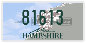 81613  license plate in NH