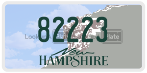 82223  license plate in NH