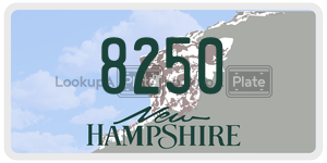 8250  license plate in NH