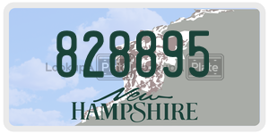 828895  license plate in NH