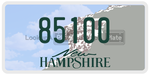 85100  license plate in NH