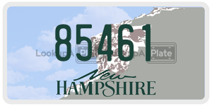 85461  license plate in NH