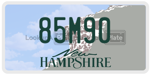 85M90  license plate in NH