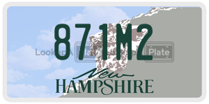 871M2  license plate in NH