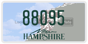 88095  license plate in NH