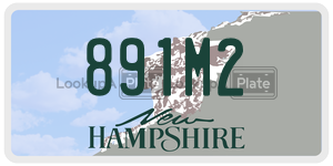 891M2  license plate in NH