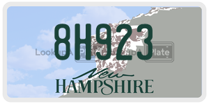 8H923  license plate in NH