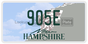 905E  license plate in NH