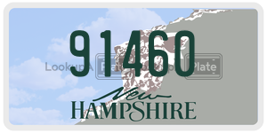91460  license plate in NH