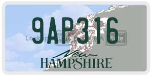 9AP316  license plate in NH