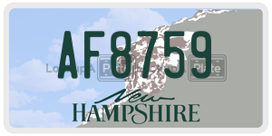 AF8759  license plate in NH