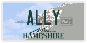ALLY  license plate in NH