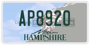 AP8920  license plate in NH