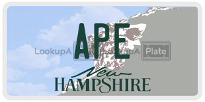 APE  license plate in NH