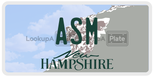 ASM  license plate in NH