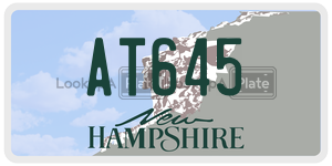 AT645  license plate in NH