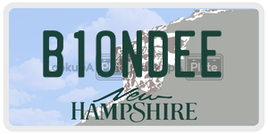 B1ONDEE  license plate in NH