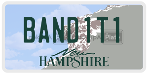 BAND1T1  license plate in NH